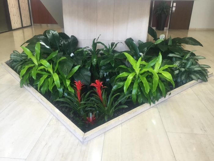 indoor landscaping
