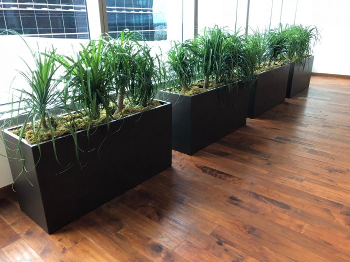indoor planters